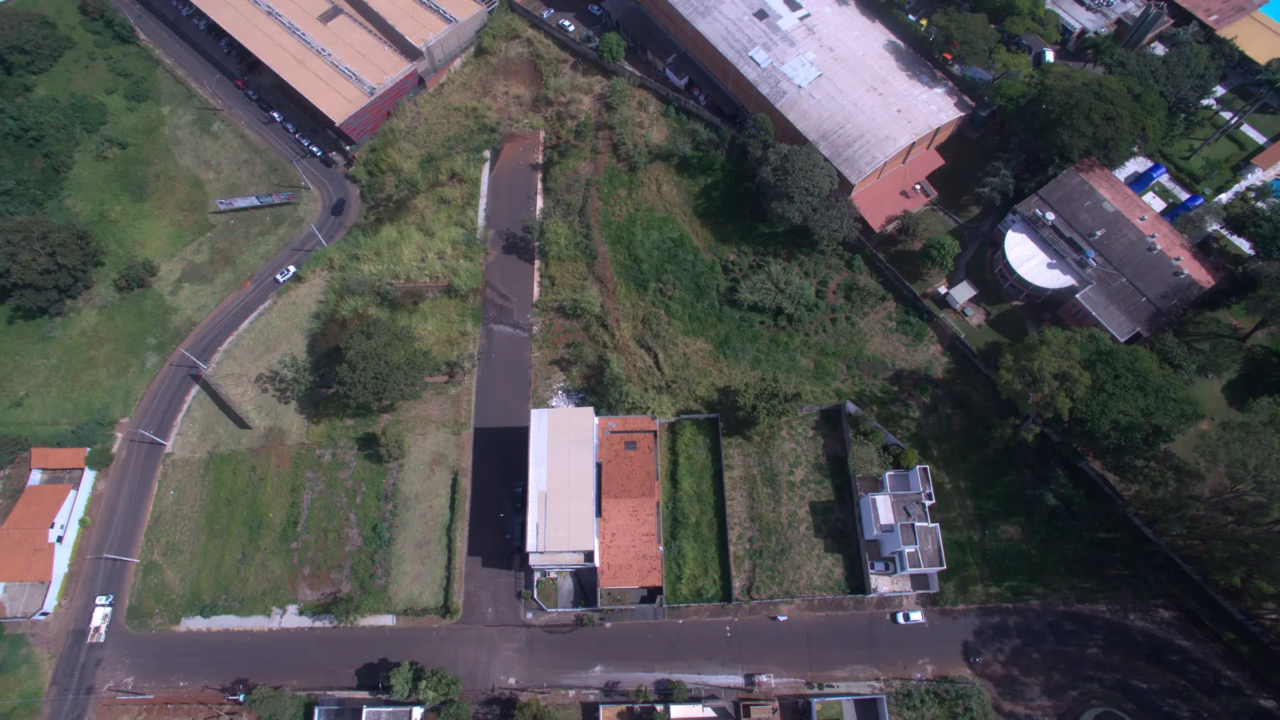 Vigilato Pereira — imagem 2