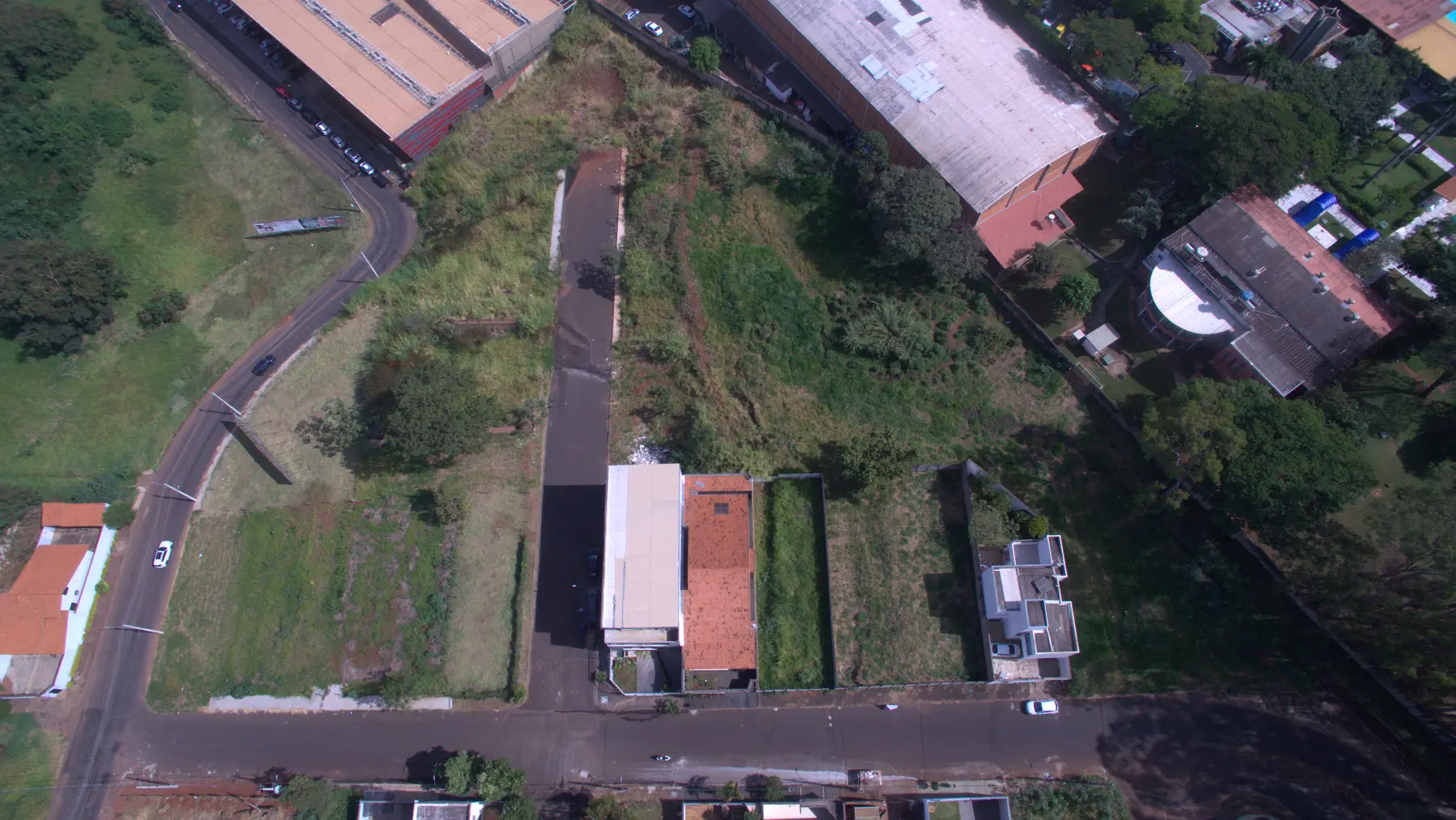 Vigilato Pereira — imagem 3