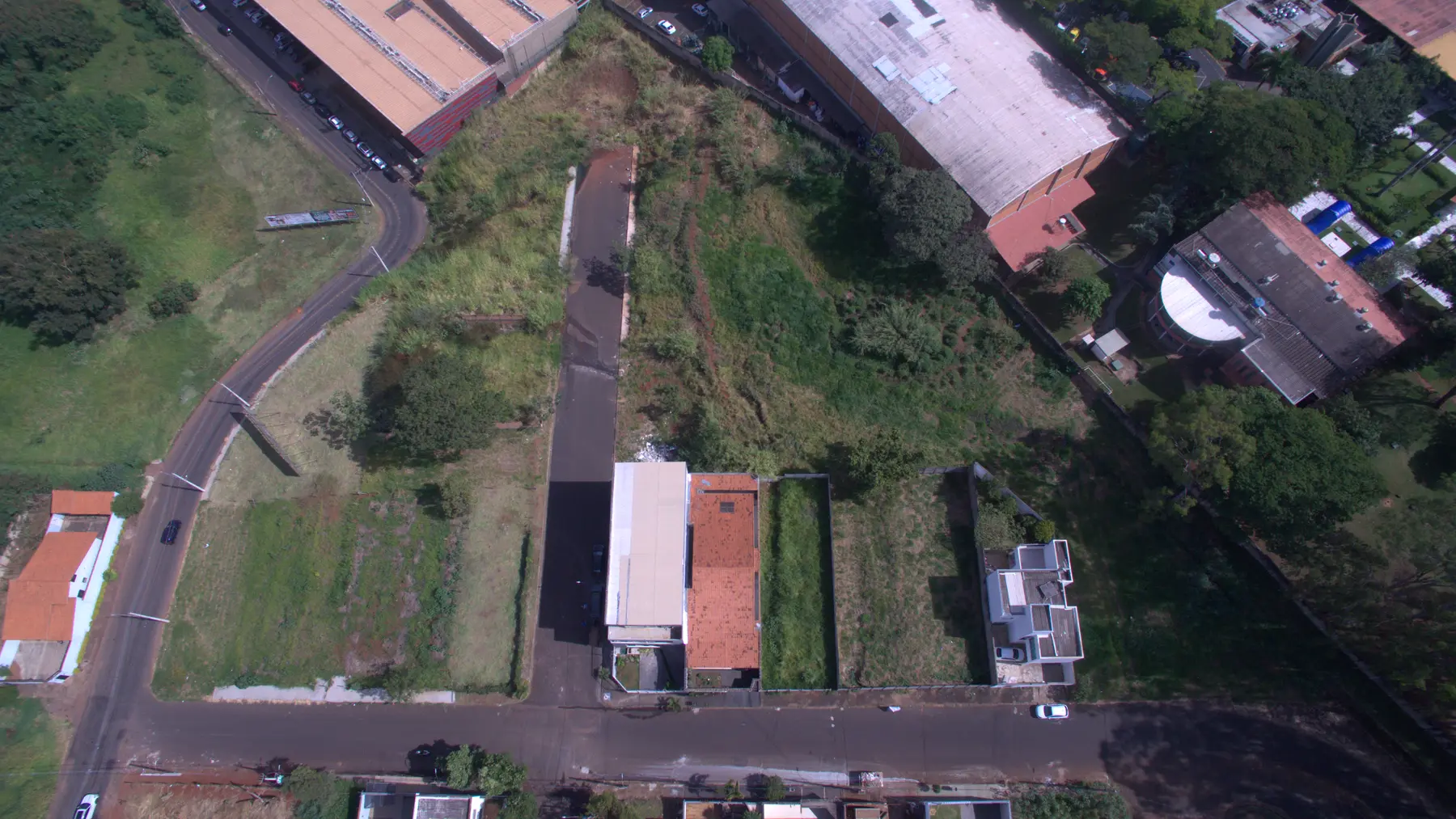 Vigilato Pereira — imagem 4