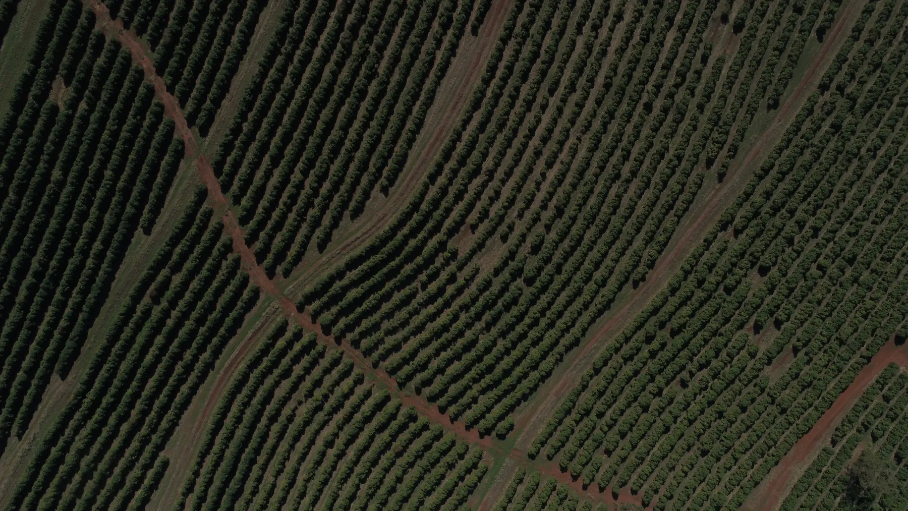 Vila Bela — imagem 3